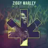 Ziggy Marley - In Concert (Live)